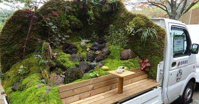 Такое могли придумать только в Японии — крутые мобильные мини-сады - leprechaun.land - Япония
