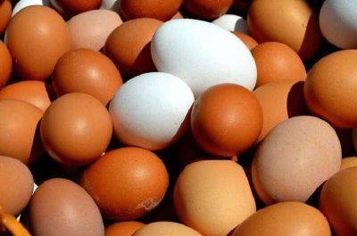 Исследования показали, что будет с вашим телом, если съедать по 2 яйца в день - leprechaun.land