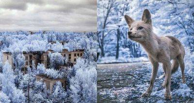 Инфракрасные снимки Чернобыля, удивляют и восхищают - leprechaun.land - Ссср