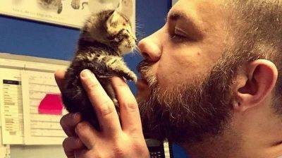 Бородатый ветеринар был добр к котятам, и они решили, что он – их мамочка! - leprechaun.land