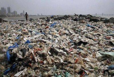 Чемпион Земли: как обычный человек очистил пляж от 5000 тонн мусора - leprechaun.land