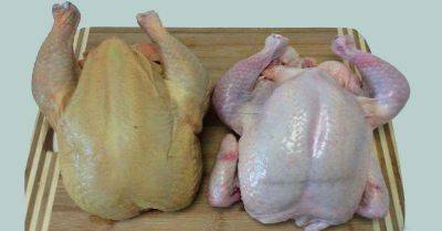 3 простых способа, которые очистят магазинную курицу от вредных веществ и антибиотиков - leprechaun.land