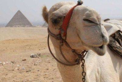 В египетский пирамидах не было розеток, но было электричество - leprechaun.land - Египет
