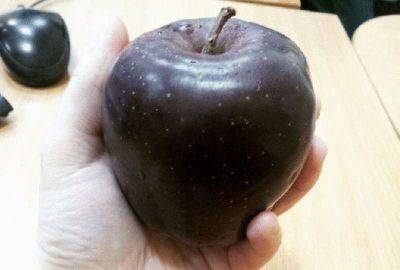 Черные алмазные яблоки растут в Китае - leprechaun.land - Китай - Пекин - Шанхай