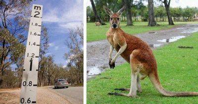 Зачем австралийцам линейки на дорогах - leprechaun.land - Австралия