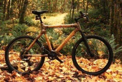Бамбуковый велосипед рулит! - leprechaun.land