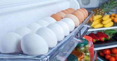 Почему нельзя хранить яйца в дверце холодильника, и как это делать правильно - leprechaun.land