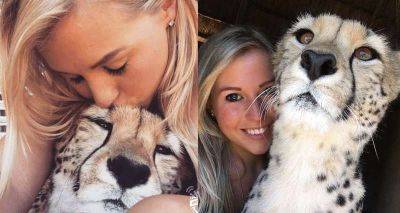 Девушка спасла котенка гепарда, сейчас он вырос и стал ее лучшим другом - leprechaun.land - Юар
