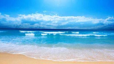 5 научных причин, почему вам нужен отдых на море - leprechaun.land