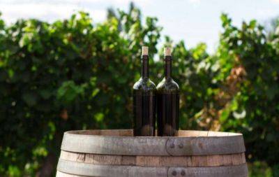 Как приготовить домашнее вино из винограда (РЕЦЕПТ) - hochu.ua