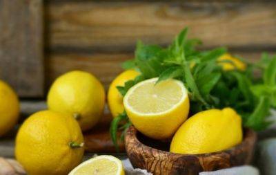 Храните с умом: как хранить лимоны, чтобы долго не портились - hochu.ua