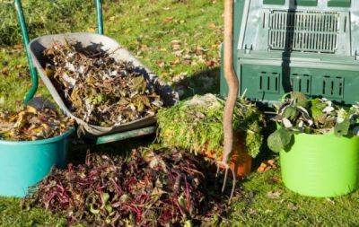 Распространенное заблуждение дачников: травы, которые нельзя добавлять в компост - hochu.ua