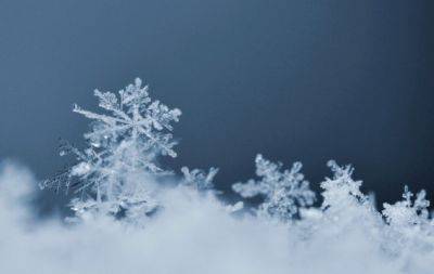 Нас ждет аномальная зима с плюсовой температурой и Новый год без снега? Появился точный прогноз погоды - hochu.ua - Украина