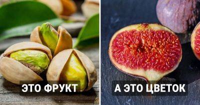 16 странных фактов о еде, которые заставят вас совсем иначе посмотреть на продукты в вашем холодильнике - twizz.ru