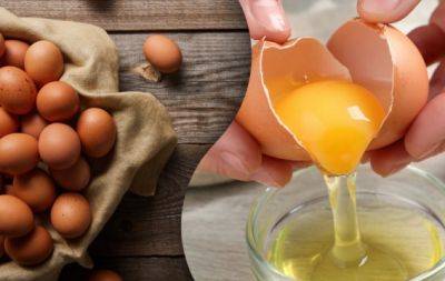 Действительно ли эффективен яичный шампунь против перхоти? Трихолог удивила ответом - hochu.ua
