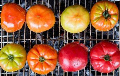 Таких помидоров вы еще не пробовали: самые вкусные они горячими (РЕЦЕПТ) - hochu.ua