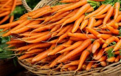 Секреты раннего урожая на зависть соседям: как осенью посеять морковь - hochu.ua