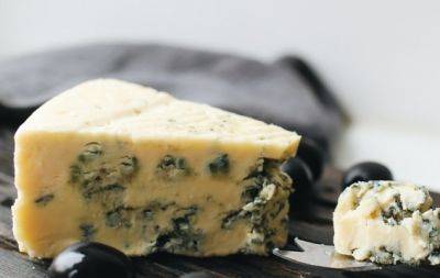 Чтобы не выбросить деньги на ветер: как выбирать сыр с плесенью - hochu.ua - Сша - Франция - Швейцария - Испания - Италия