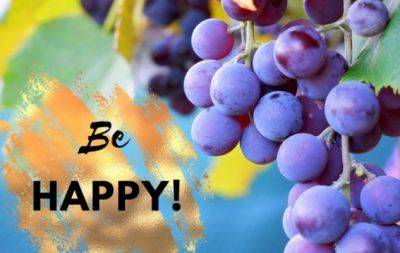 День виноградарей, виноделов и садоводов Украины: атмосферные поздравления и открытки - hochu.ua - Украина