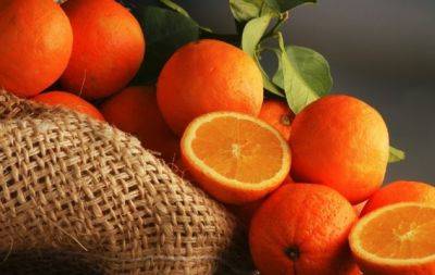 Вкусный и сочный! По каким признакам выбирать хороший апельсин - hochu.ua - Сша - Египет - Турция - Юар - Испания - Марокко