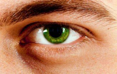 Какой цвет глаз считается наиболее редким на планете? Вы будете удивлены - hochu.ua - Сша