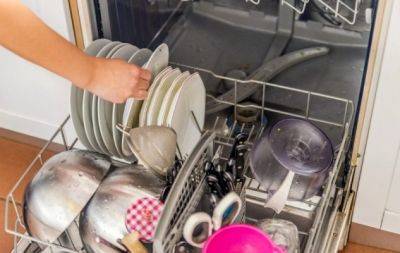 Не только посуда: что еще вы можете спокойно мыть в посудомойке - hochu.ua