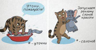 Питерская художница визуализирует опечатки с помощью своего котика, показывая, как смешно меняется смысл - twizz.ru