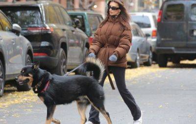 Выгуливала собаку: Эмили Ратаковски "засветила" пуховик от украинского бренда за 67 тысяч гривен (ФОТО) - hochu.ua - Нью-Йорк