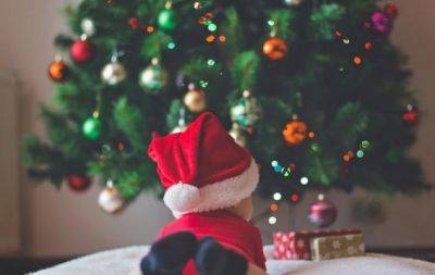 Планируйте праздник без новогодней красавицы: почему живая елка опасна для ребенка - hochu.ua