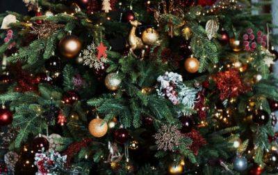Выбери свой вариант и узнай, каким украшением ты была бы на новогодней елке - hochu.ua