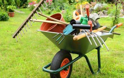 Важные правила: что сделать с садовыми инструментами осенью - hochu.ua