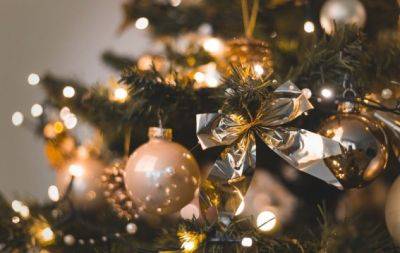 Никаких пластмассовых шаров и гирлянд из бисера: какими игрушками нельзя украшать елку на Новый год 2024 (ФОТО) - hochu.ua
