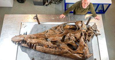 В Великобритании обнаружили череп древнего морского чудовища. Вот как он мог выглядеть в реальности - twizz.ru - Англия
