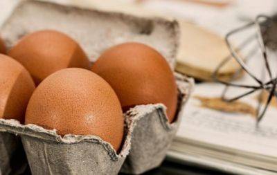 Просроченные яйца могут испортить салаты: как узнать, свежий ли продукт перед вами - hochu.ua