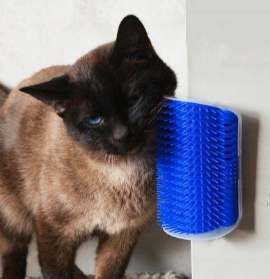 Расческа для котов: необходимый инструмент для заботы о шерсти вашего питомца - ladyspages.com