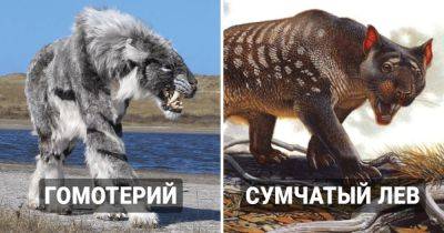 13 видов больших хищных кошек, которые оказались потеряны для нашего мира навсегда - twizz.ru