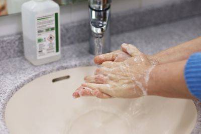 Простое мыло здесь не поможет! Как отмыть руки от орехов: действенные способы - vikna.tv
