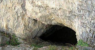 Уже 25 лет мужчина живёт в пещере только со своей собакой. - leprechaun.land - штат Нью-Мексико