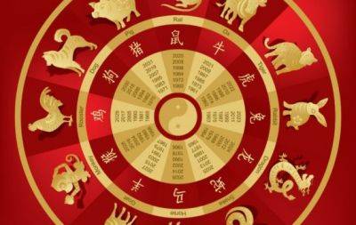 Китайский гороскоп на декабрь 2023: что кого ждет в конце года Кролика - hochu.ua