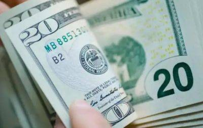Что будет с долларом в 2024 году? Экономист дал наиболее реалистичные прогнозы - hochu.ua - Украина