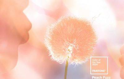 Бархатный персик. Институт Pantone определил главный цвет 2024 года - hochu.ua - Украина