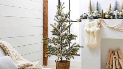 Будет стоять до Рождества: что делать, чтобы ваша елка не осыпалась - korisno.24tv.ua