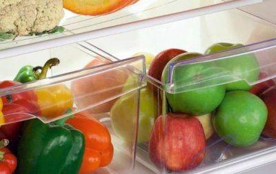 Продукты будут храниться неделями: научные советы, которые спасут ваш холодильник от гнили - hochu.ua