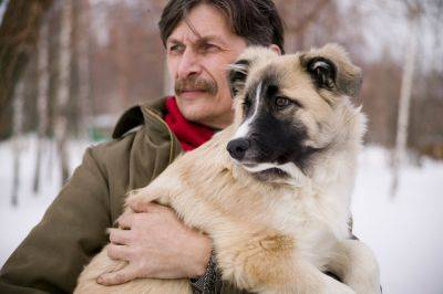 Настоящий друг: Сеть растрогал пес, который притворился хромым, чтобы поддержать хозяина (ВИДЕО) - clutch.net.ua