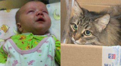 Бездомная кошка согревала младенца, которого бросили одного в подвале: настоящая мать (ФОТО) - clutch.net.ua