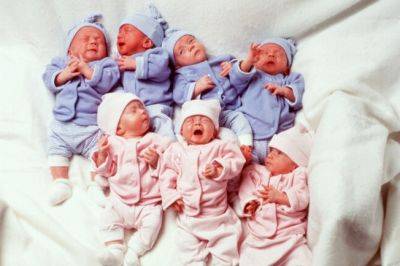 23 года назад женщина родила семерых близнецов: как выглядит сейчас большая семья (ФОТО) - clutch.net.ua