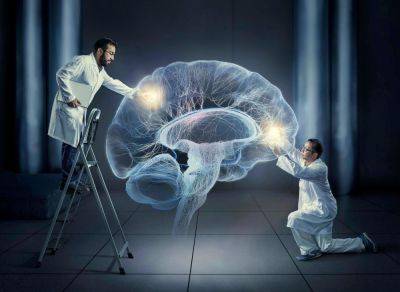 Прорыв в науке: ученым удалось поддерживать мозг живым вне тела в течение месяца - clutch.net.ua - Сша - Израиль - Япония