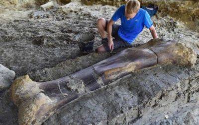 Ученые нашли кость крупнейшего зверя в истории планеты - clutch.net.ua - район Овручский