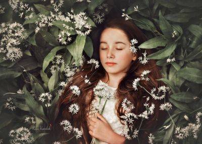 Комнатные цветы, которые лечат бессонницу и улучшают сон: спать будешь, как младенец - clutch.net.ua