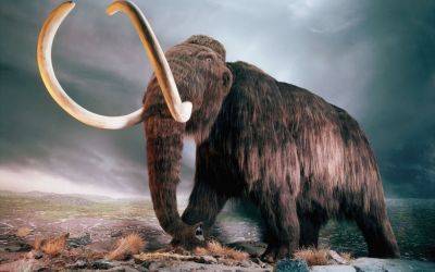 Археологи обнаружили самую большую могилу с мамонтами: огромные кости остались целыми - clutch.net.ua - Мексика - Абу-Даби - Иран